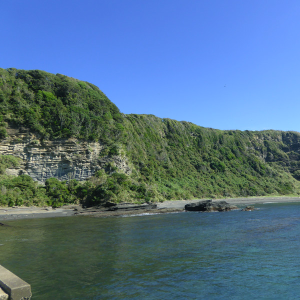 大房岬（たいぶさみさき）自然公園（ハイキング・釣り）